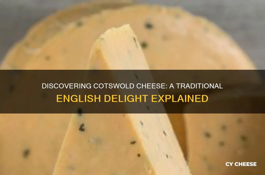 what is cotswold cheese
