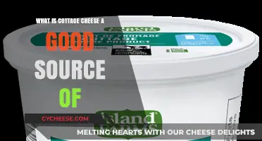 Cottage Cheese: A Nutrient-Rich Source of Protein, Calcium, and Vitamins