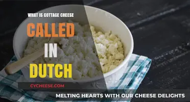 Discovering the Dutch Name for Cottage Cheese: A Culinary Translation