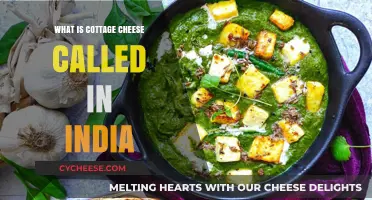 Cottage Cheese in India: Exploring Its Local Names and Culinary Uses