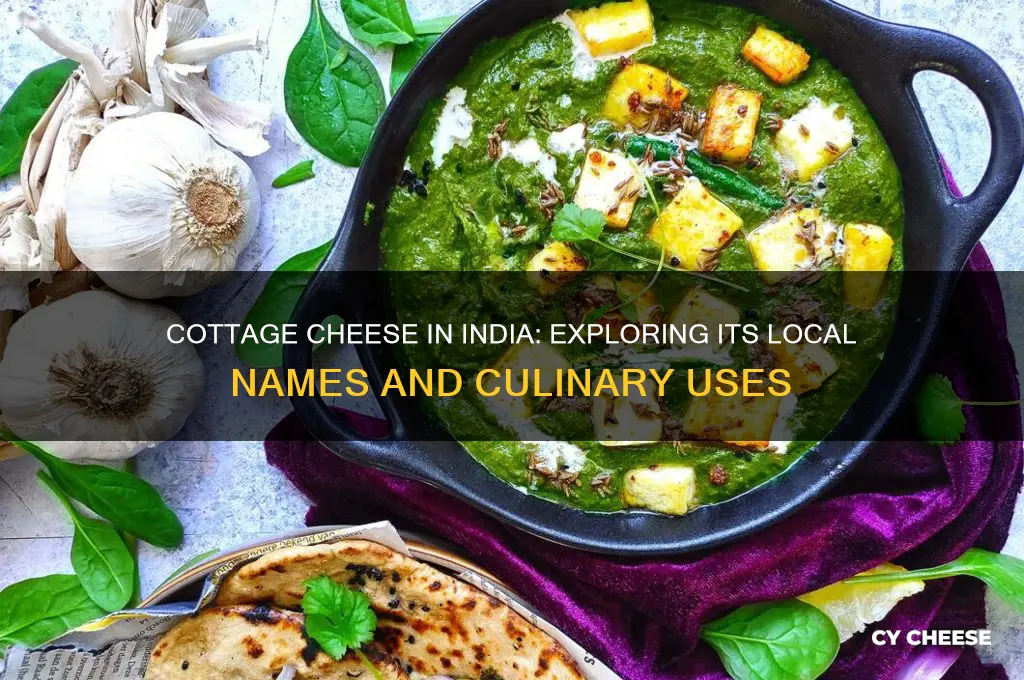 what is cottage cheese called in india