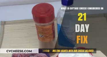 Cottage Cheese Portions and Container Counts in 21 Day Fix Plans