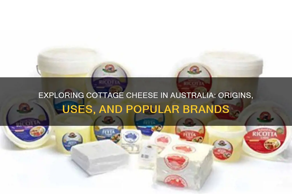 what is cottage cheese in australia