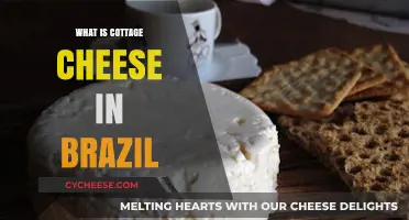Discovering Brazil's Cottage Cheese: A Unique Twist on a Classic Dairy