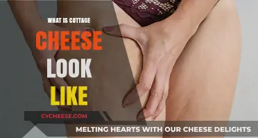 Exploring Cottage Cheese: Appearance, Texture, and Visual Guide