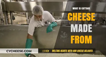 Cottage Cheese Basics: Ingredients, Production, and Nutritional Value Explained