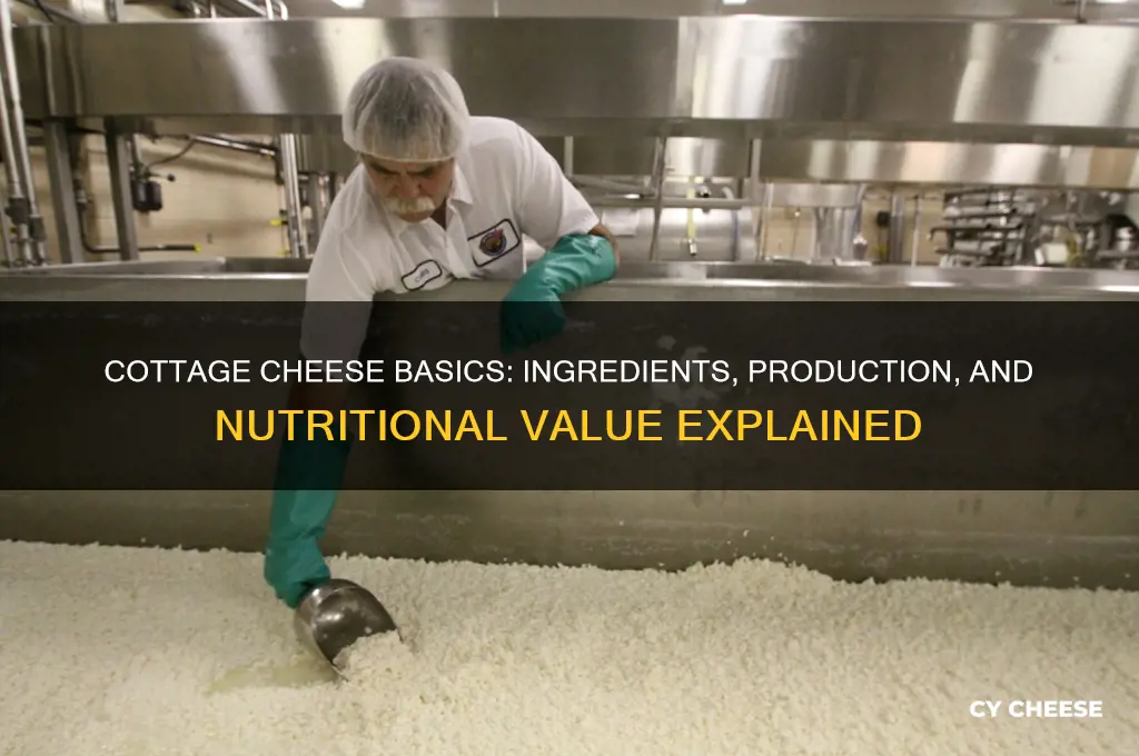 what is cottage cheese made from