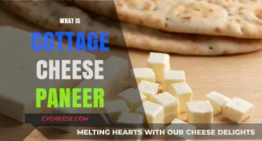 Cottage Cheese vs. Paneer: Understanding the Differences and Similarities