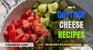 Delicious Cottage Cheese Recipes: Creative Ways to Enjoy This Versatile Ingredient