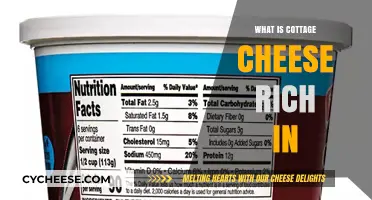 Cottage Cheese Nutritional Benefits: Rich in Protein, Calcium, and Vitamins