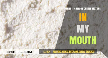 Exploring the Unique Mouthfeel of Cottage Cheese: Texture Unveiled