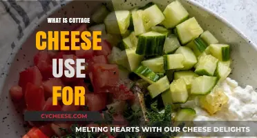 Cottage Cheese Uses: Versatile Recipes, Health Benefits, and Creative Ideas
