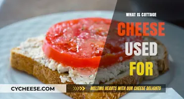 Cottage Cheese Uses: From Breakfast to Baking and Beyond