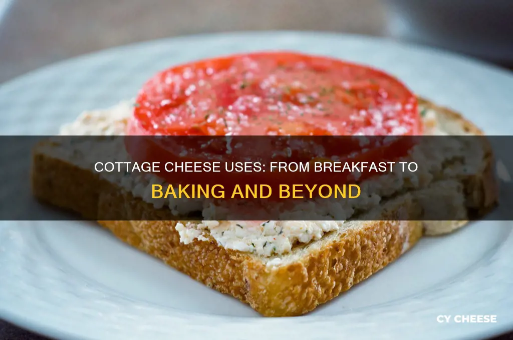 what is cottage cheese used for