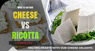 Cottage Cheese vs Ricotta: Key Differences and Best Uses Explained