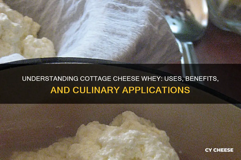 what is cottage cheese whey