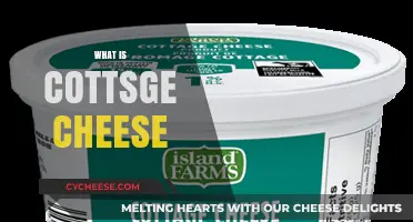 Understanding Cottage Cheese: Nutrition, Uses, and Health Benefits Explained