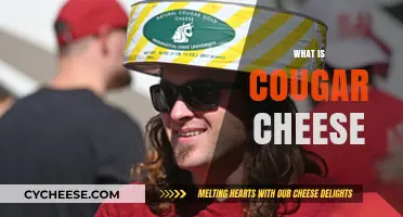 Discover the Unique Flavor and History of Cougar Cheese