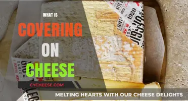 Understanding Cheese Coverings: Types, Uses, and Benefits Explained