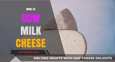 Understanding Cow Milk Cheese: Types, Benefits, and Delicious Uses