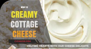 Discover Creamy Cottage Cheese: Texture, Uses, and Health Benefits Explained