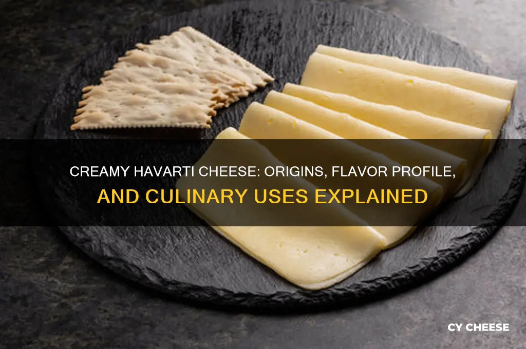 what is creamy havarti cheese