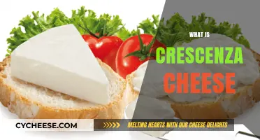 Discover Crescenza Cheese: A Creamy, Soft Italian Delight Explained