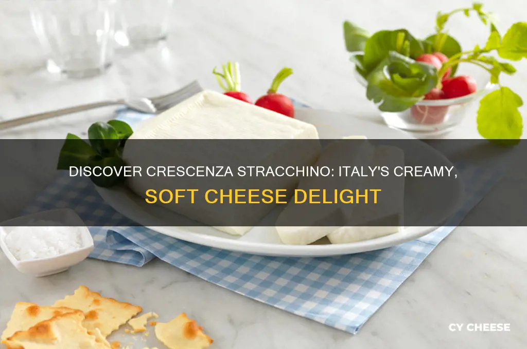 what is crescenza stracchino cheese