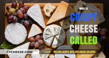 Discover the Name of Crispy Cheese: A Tasty Texture Explained