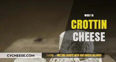 Discovering Crottin Cheese: A French Goat Cheese Delight Explained