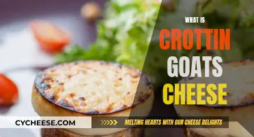 Crottin: The Unique, Smelly Goat's Cheese Delight