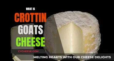 Crottin Goat Cheese: A Classic French Delicacy Explained