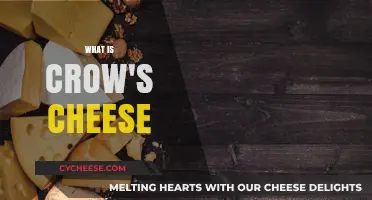 Unveiling the Mystery: What is Crow's Cheese and Its Origins?