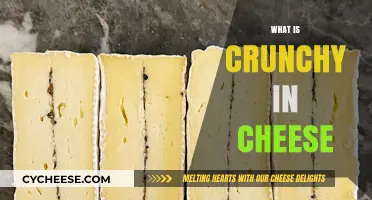 Crunchy Cheese Secrets: Exploring the Unexpected Texture in Your Favorite Dairy Delight