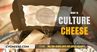 Exploring the Rich History and Varieties of Culture Cheese