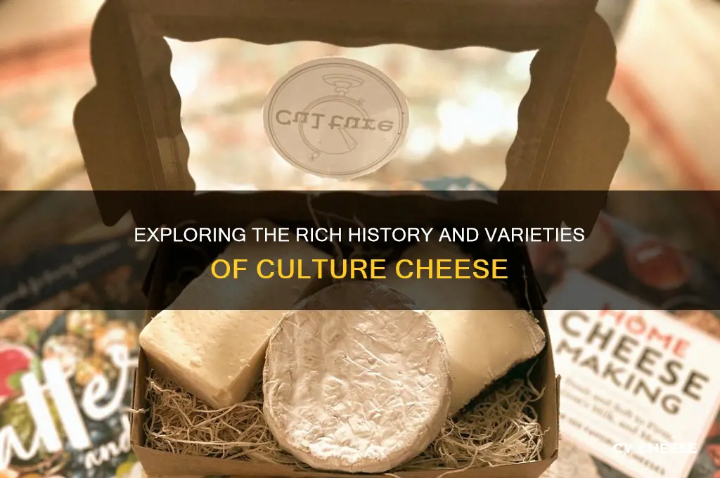 what is culture cheese