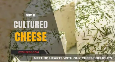 Exploring Cultured Cheese: A Tasty Journey into Fermented Dairy Delights