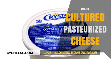 Understanding Cultured Pasteurized Cheese: Process, Benefits, and Culinary Uses