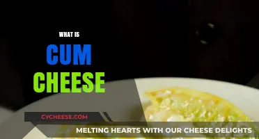 Unveiling the Mystery: What is Cum Cheese and Its Origins