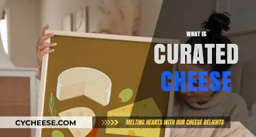 Discover the Art of Curated Cheese: A Gourmet's Guide