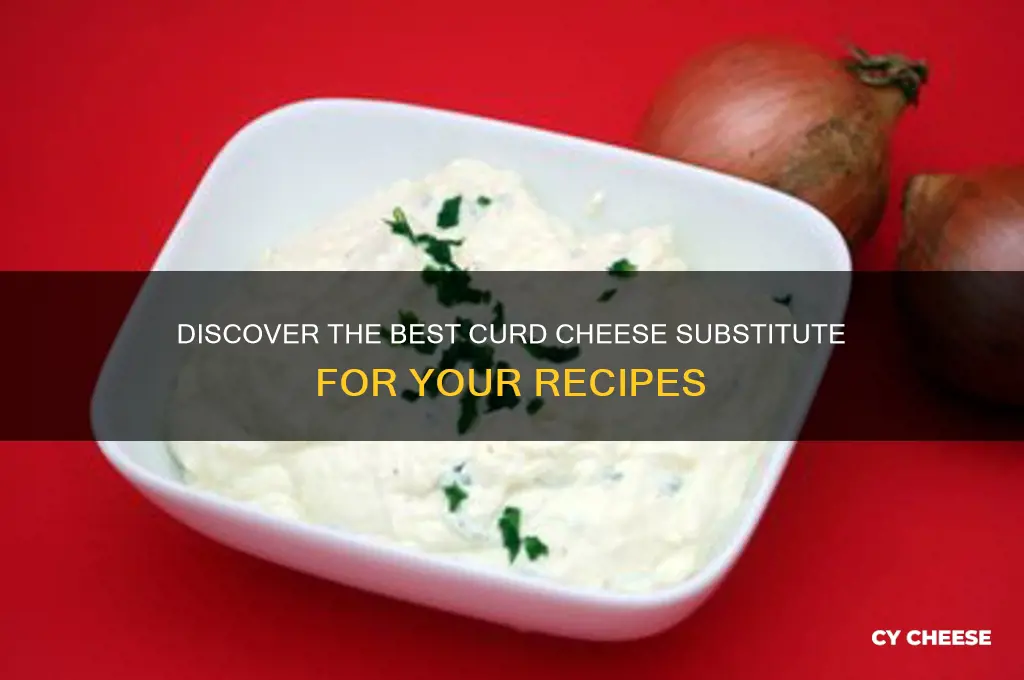 what is curd cheese substitute
