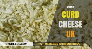 Discovering Curd Cheese: A British Culinary Delight Explained
