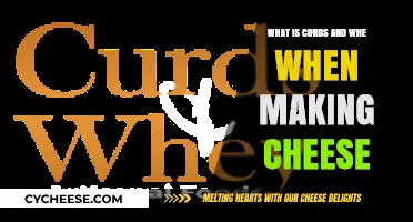 Understanding Curds and Whey: Essential Cheese-Making Components Explained