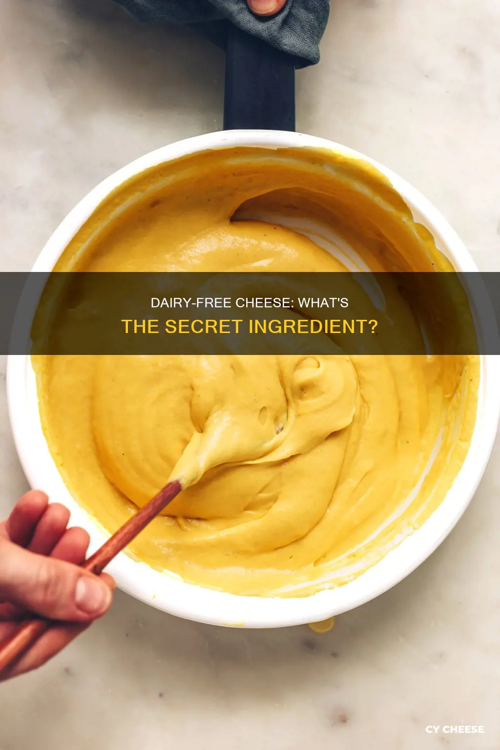 what is dairy free cheese made from