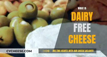 Explore Dairy-Free Cheese: A Healthy Alternative