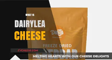 Discover Dairylea Cheese: A Creamy, Versatile Snack Favorite Explained