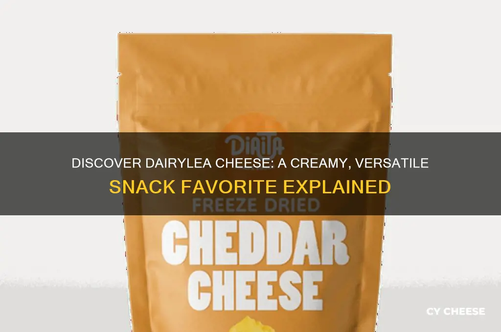 what is dairylea cheese
