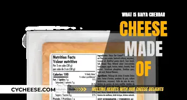 Daiya Cheddar Cheese: What's in This Vegan Treat?