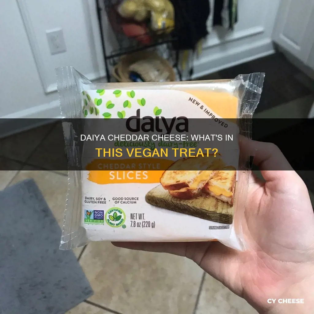 what is daiya cheddar cheese made of