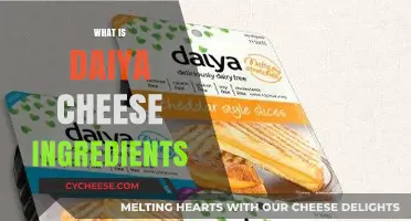 Daiya Cheese Ingredients: A Plant-Based, Dairy-Free Alternative Explained